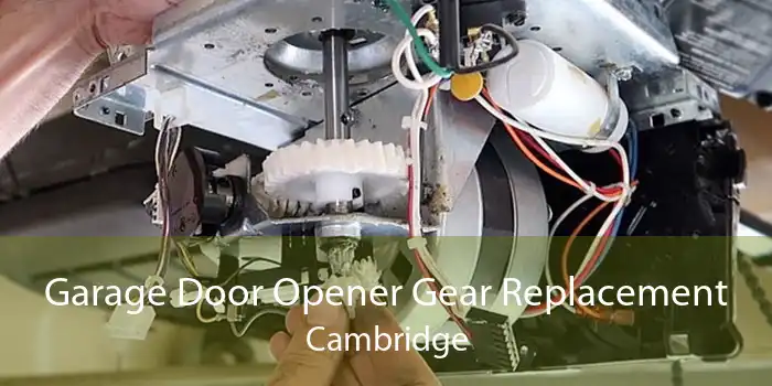 Garage Door Opener Gear Replacement Cambridge